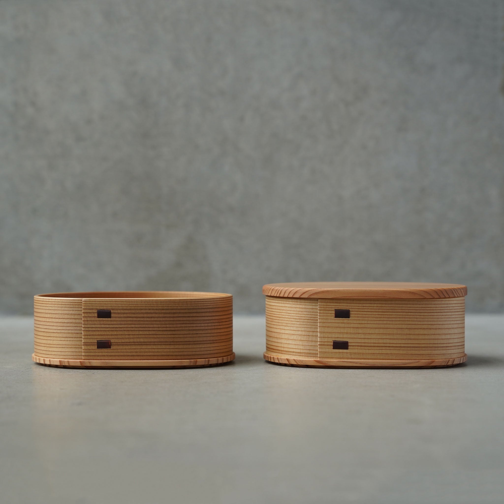Ryobian Irodori Bento Box (Small, Two-Tier)