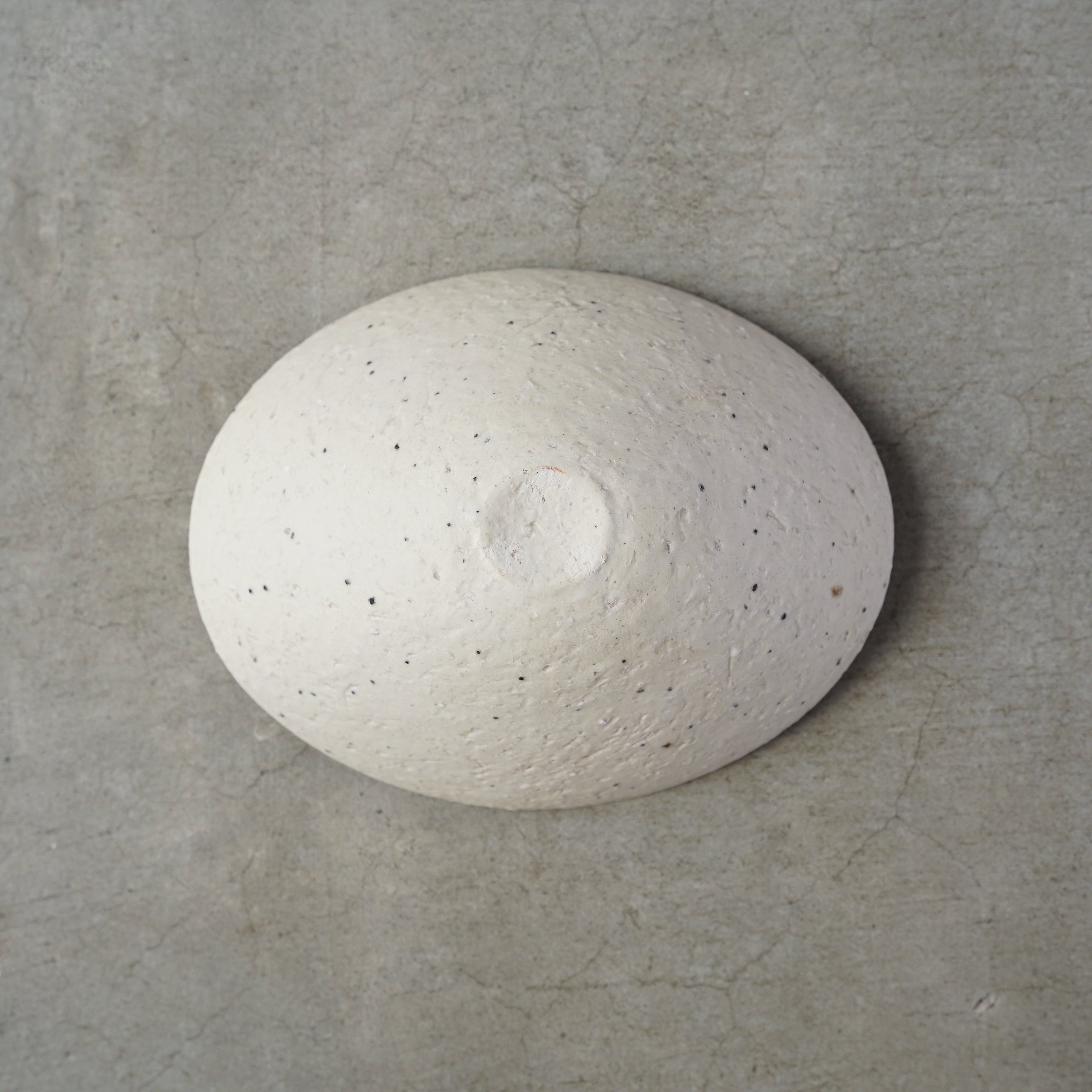佐藤 朱理 Bowl(淡白)