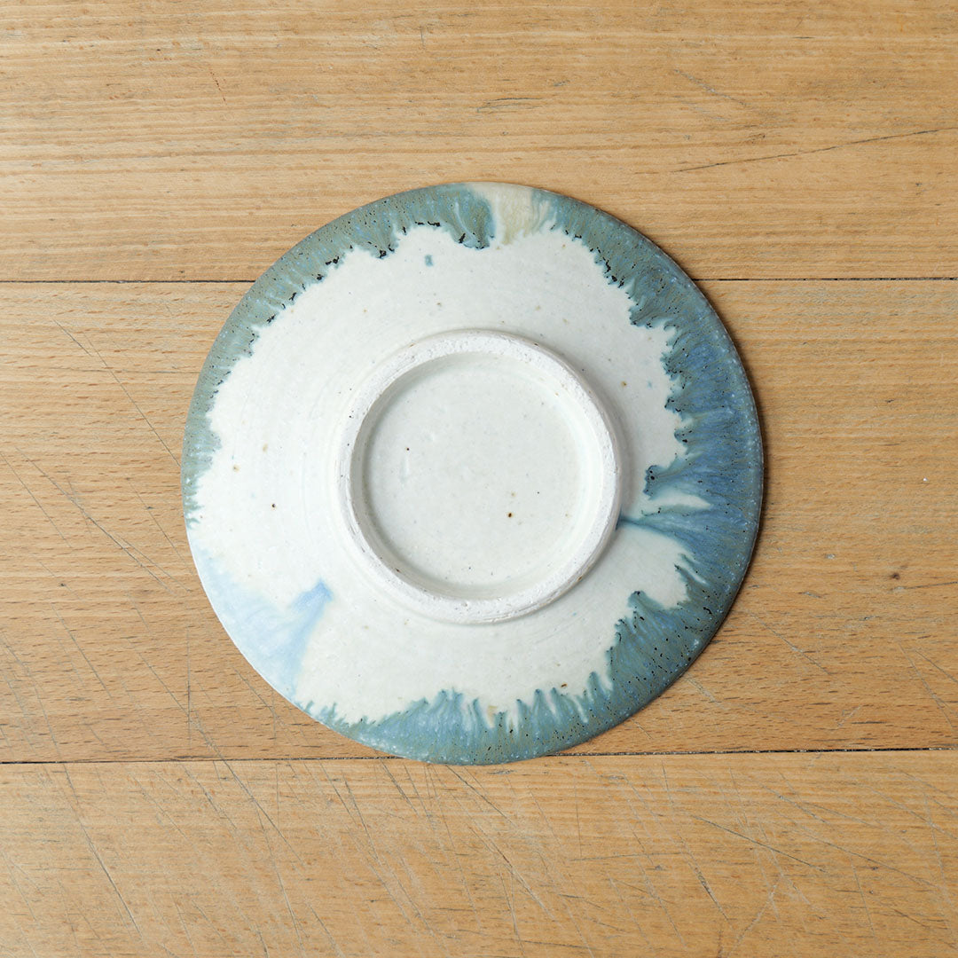 Nanyo 5-inch Plate F