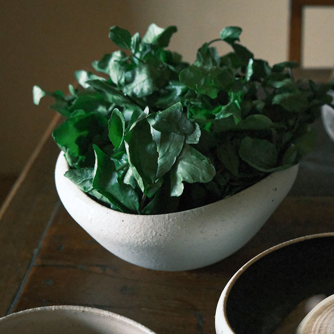 SAKUZAN ボウルclay 黒 L