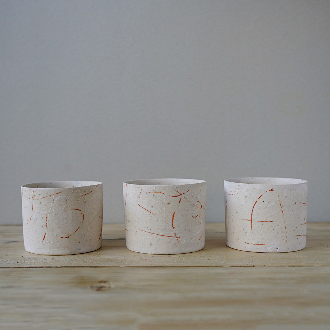 佐藤 朱理 Cup C
