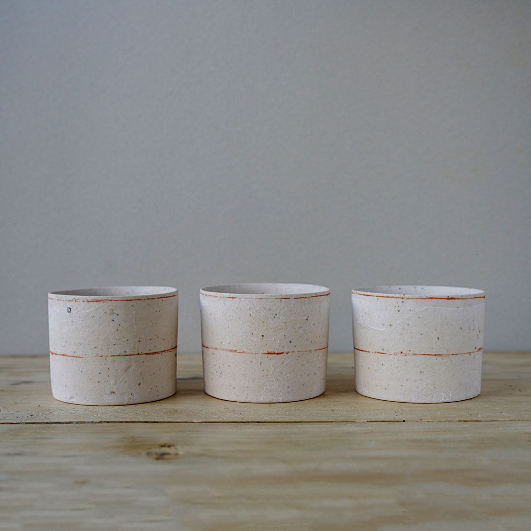 佐藤 朱理 Cup D
