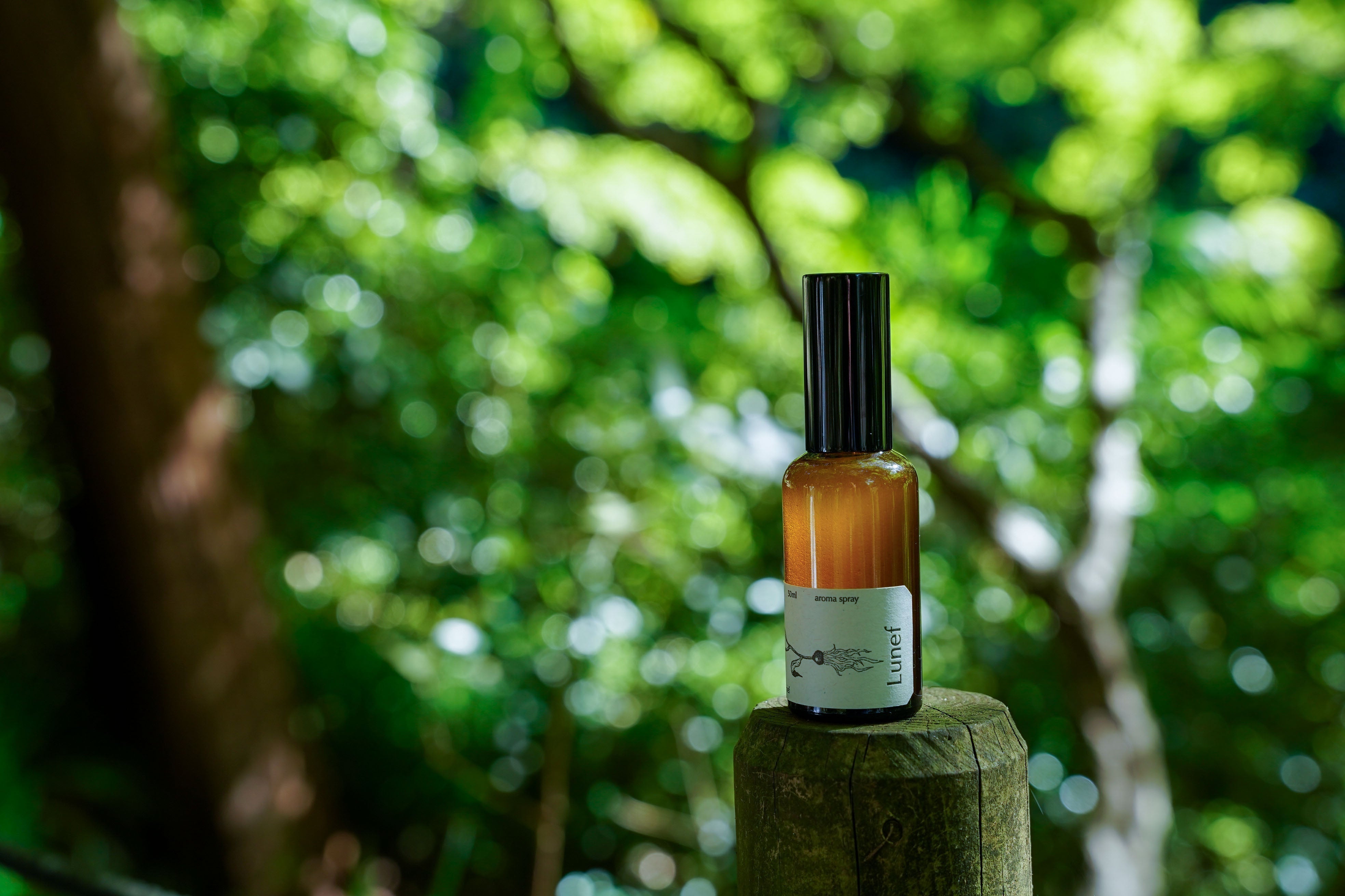 woodpecker まな板スタンド：2枚用 - アメノイエ