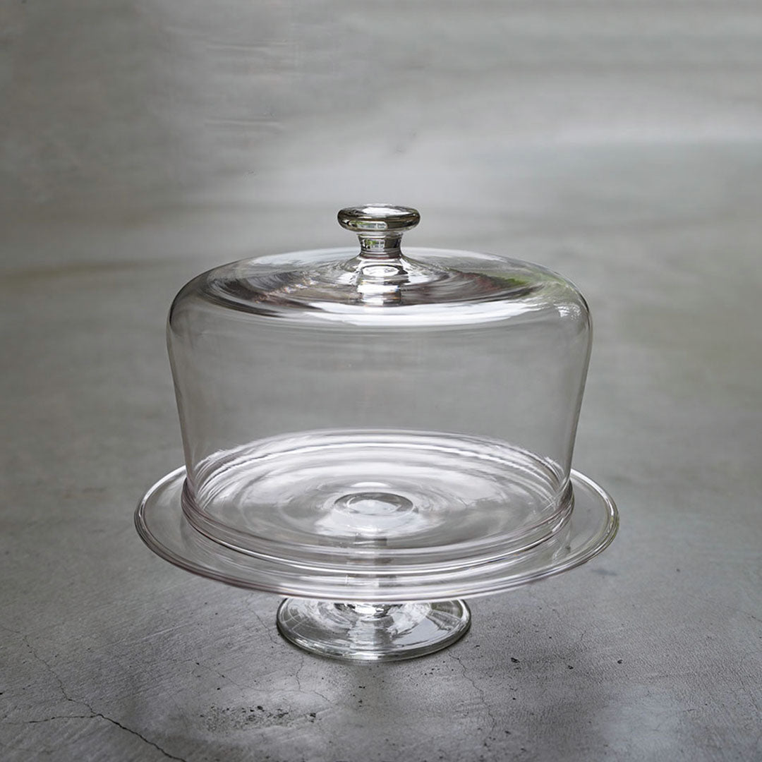 菊地 大護 Comport