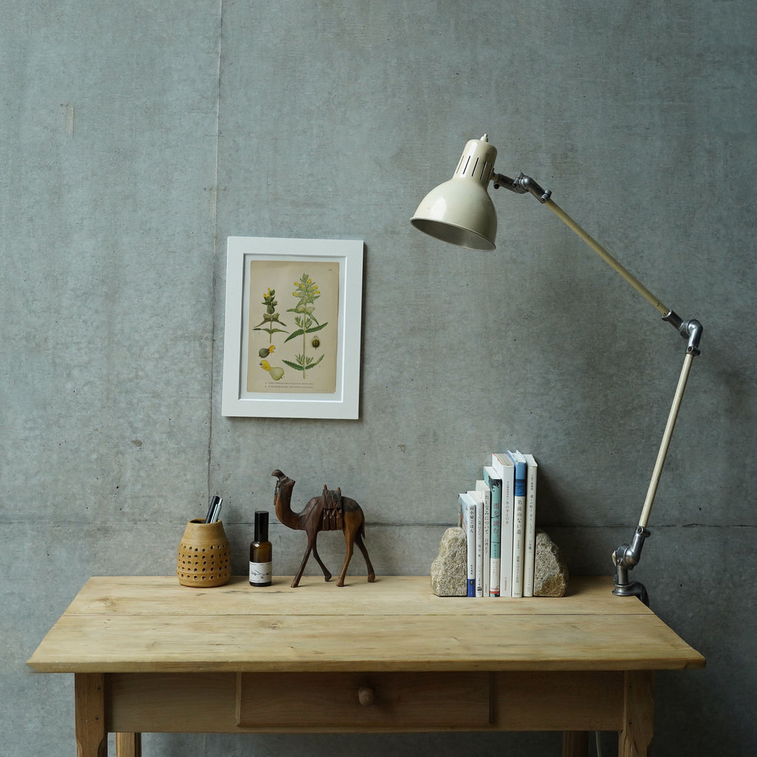 Clip Lamp / Rijo