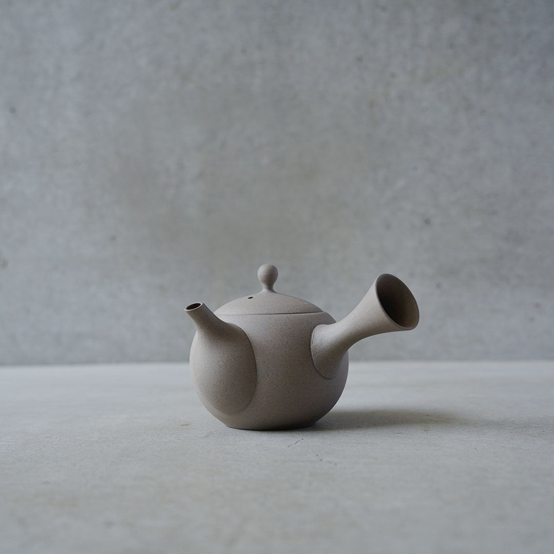 Modern Tokoname-yaki Teapot - JINSUI "iroiro" 01  Gray