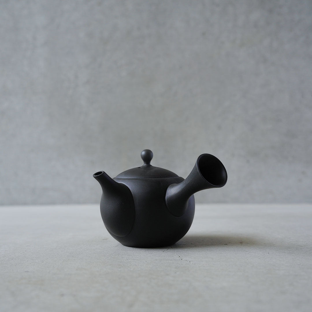 Modern Tokoname-yaki Teapot - JINSUI "iroiro" 01 Black