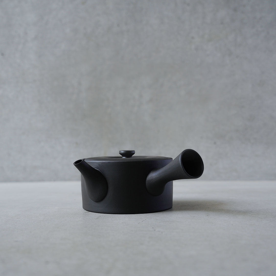 Modern Tokoname-yaki Teapot - JINSUI "iroiro" 02 Black