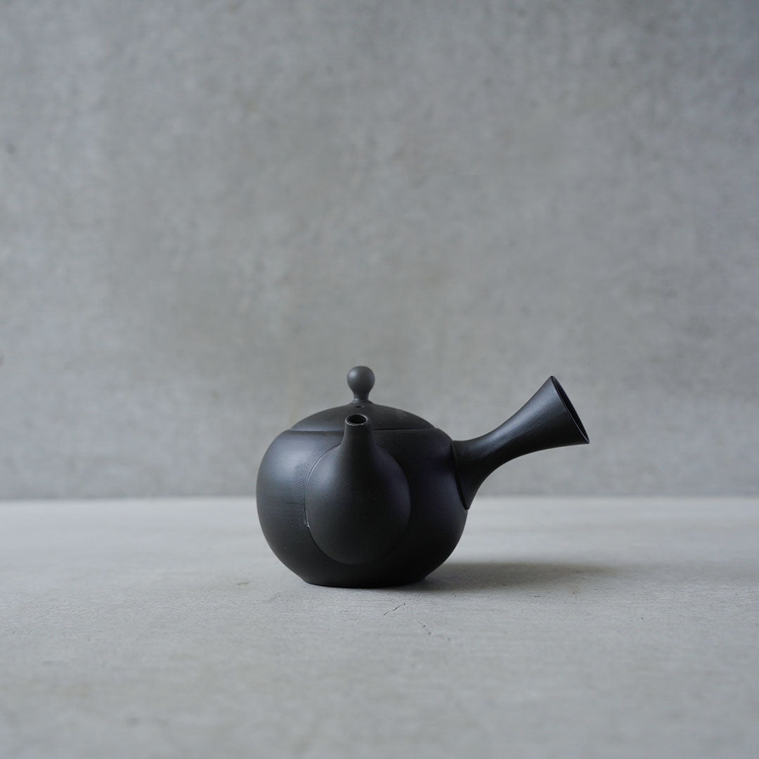 Modern Tokoname-yaki Teapot - JINSUI "iroiro" 01 Black