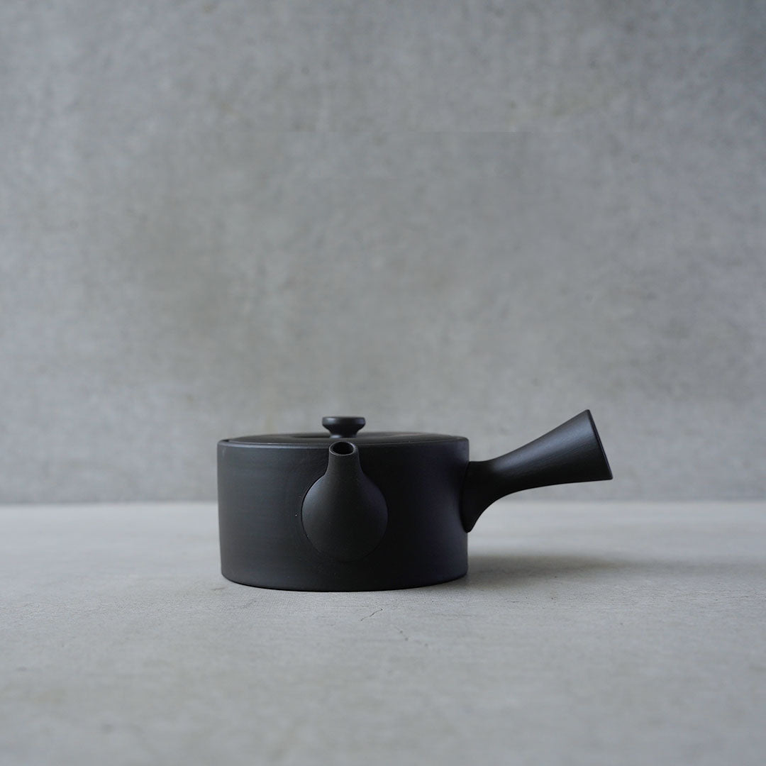 Modern Tokoname-yaki Teapot - JINSUI "iroiro" 02 Black