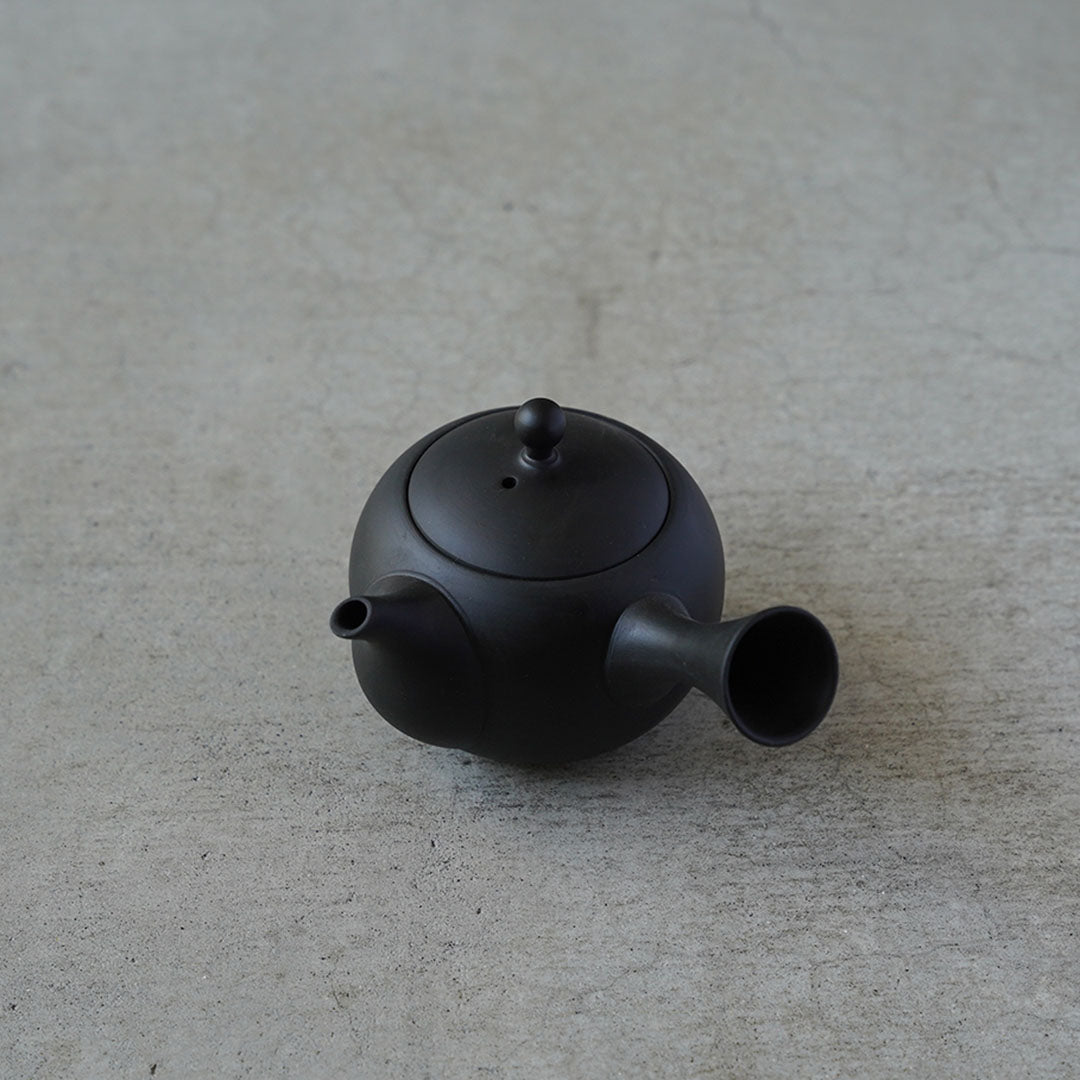Modern Tokoname-yaki Teapot - JINSUI "iroiro" 01 Black