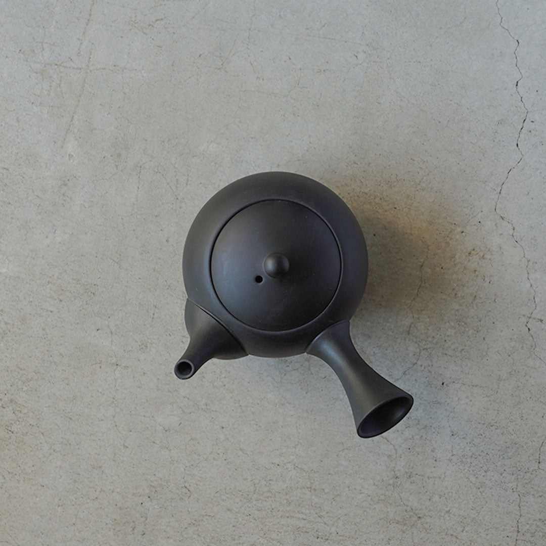 Modern Tokoname-yaki Teapot - JINSUI "iroiro" 01 Black
