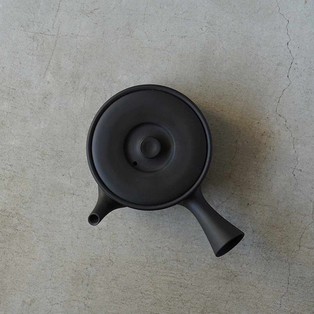 Modern Tokoname-yaki Teapot - JINSUI "iroiro" 02 Black