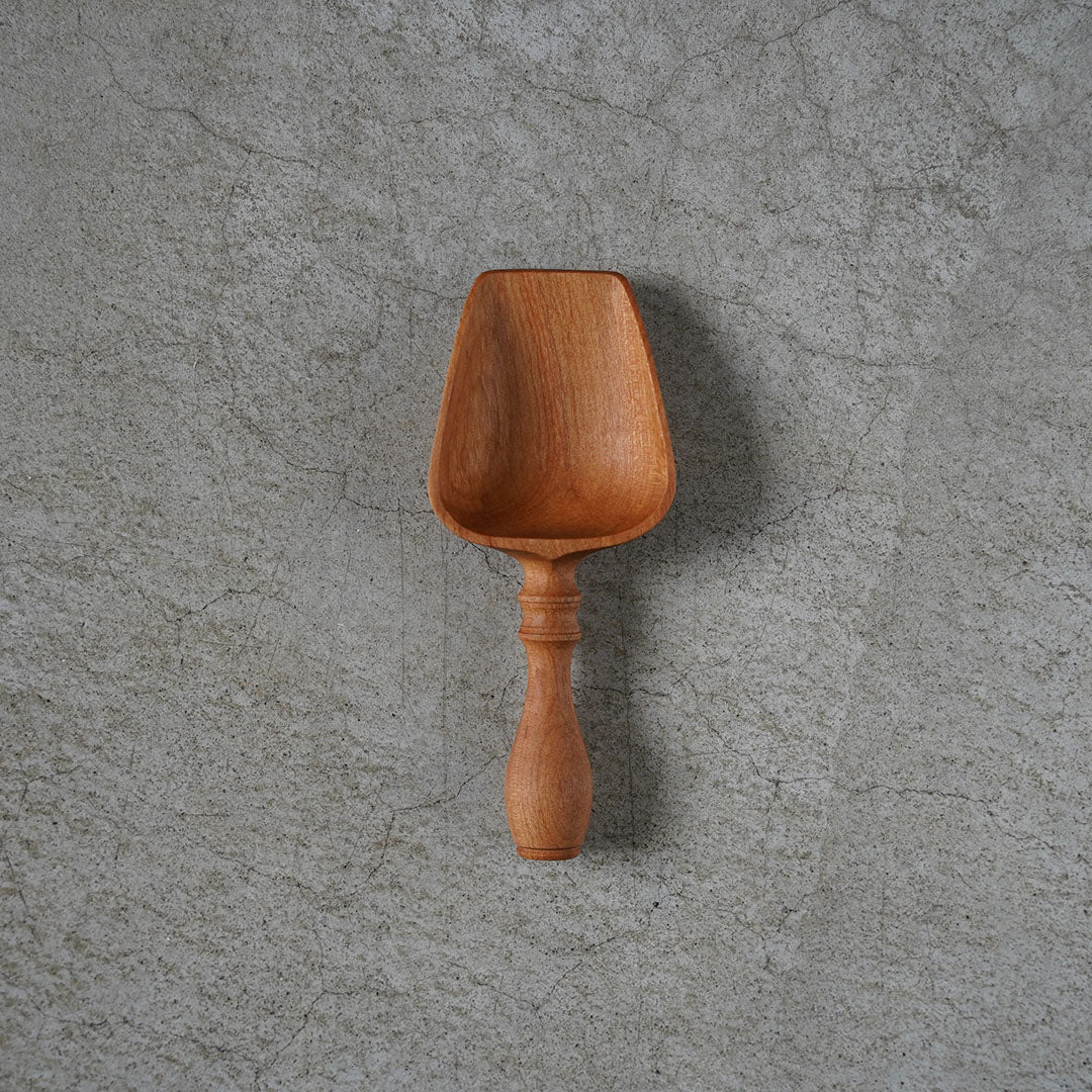 Kenta Nakanishi Scoop Sakura