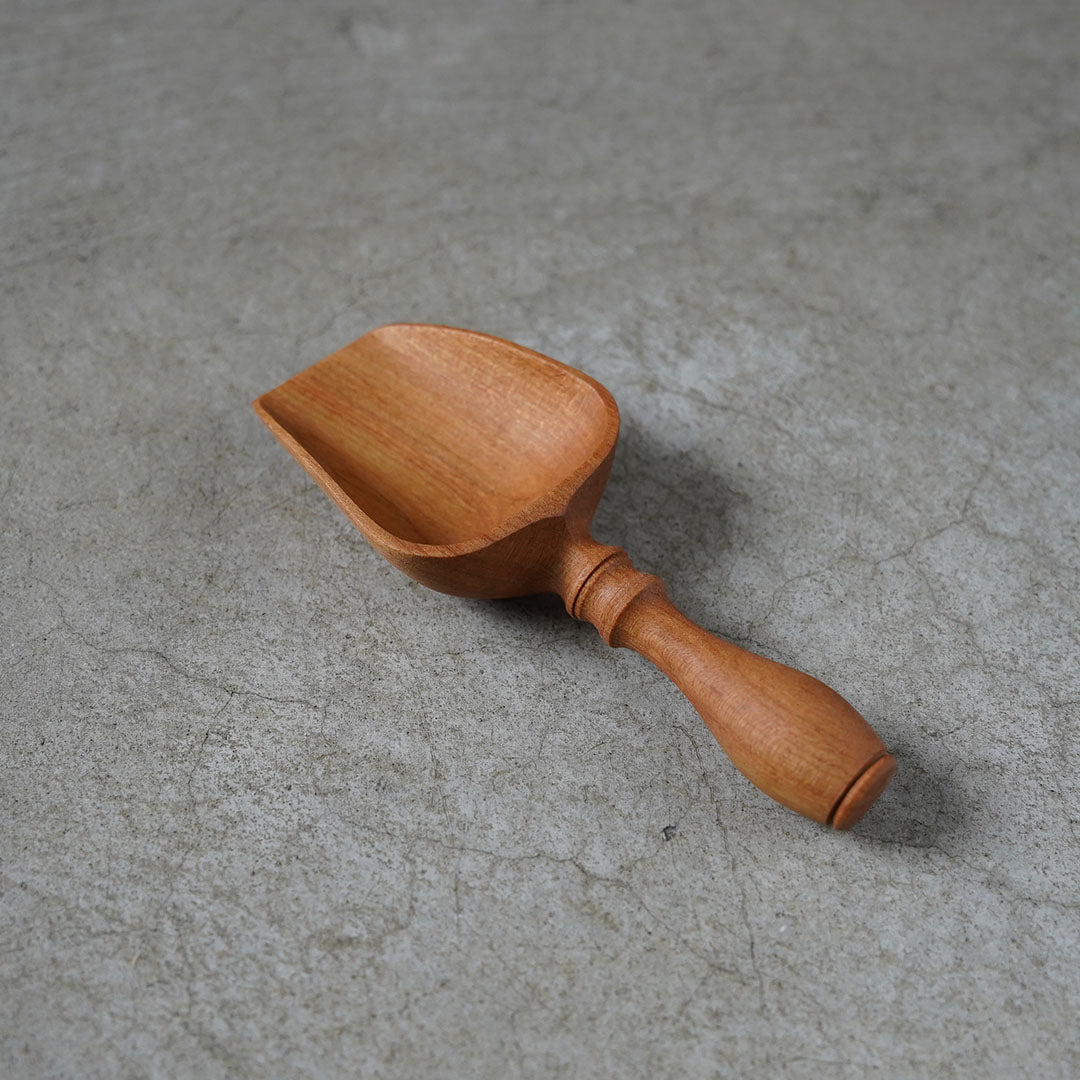 Kenta Nakanishi Scoop Sakura