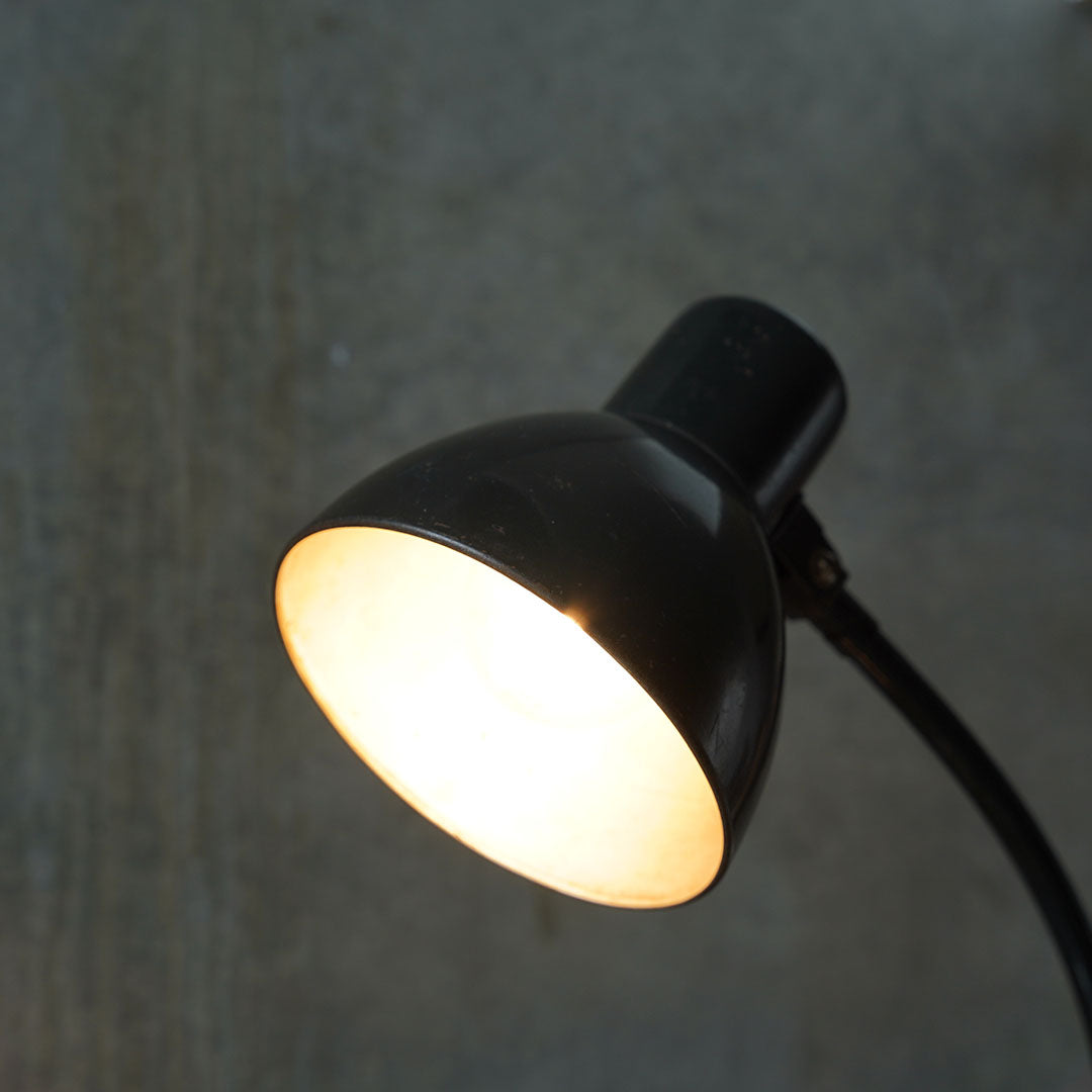 Desk Lamp