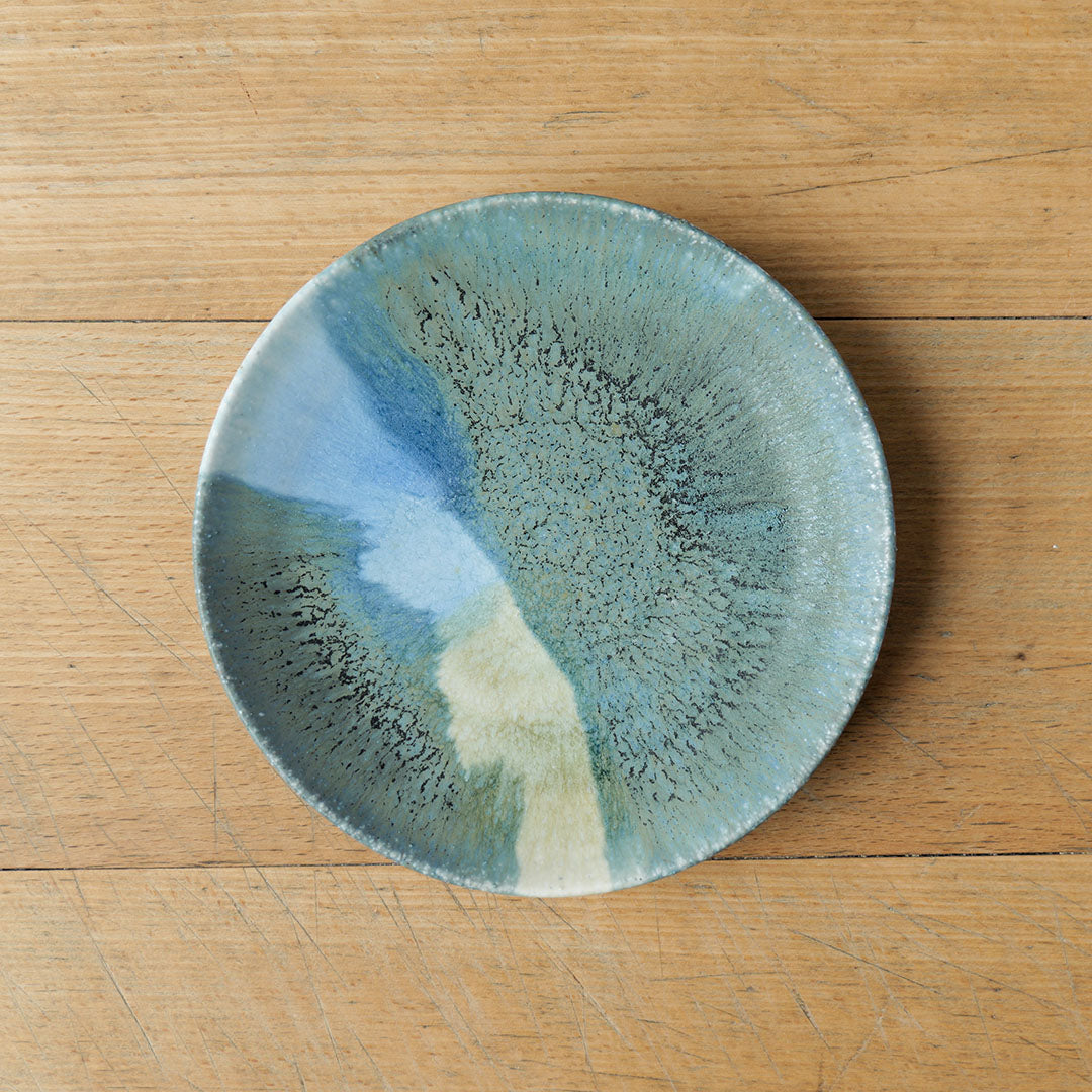 Nanyo 5-inch Plate F
