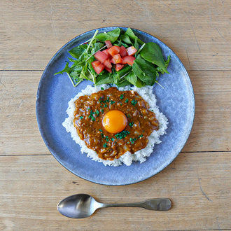 fog プレート 27cm BLUE