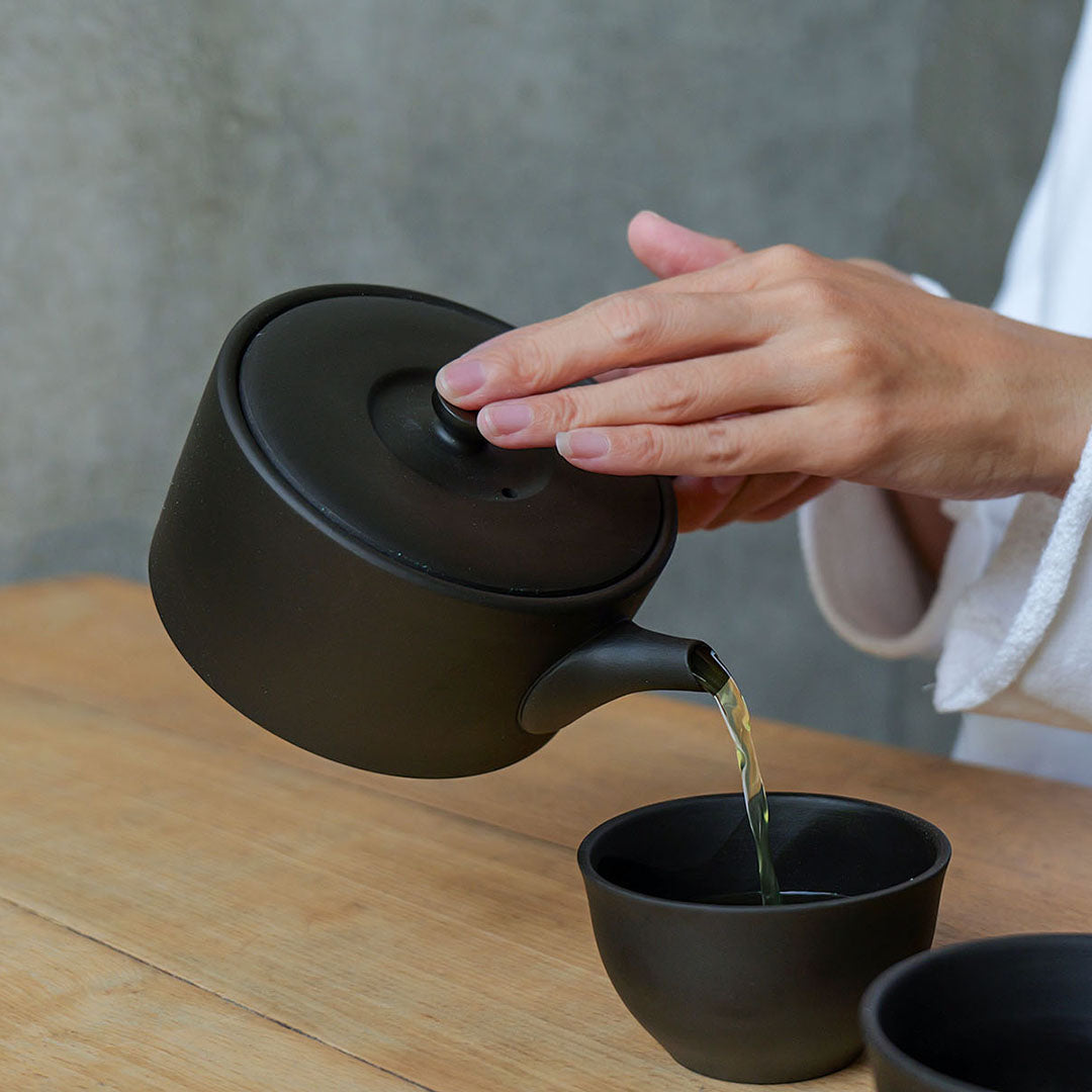 Modern Tokoname-yaki Teapot - JINSUI "iroiro" 02 Black