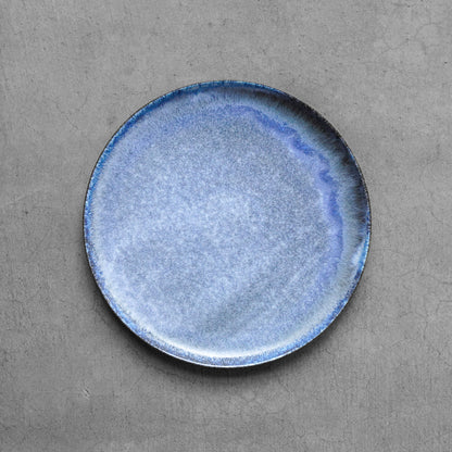 fog プレート 27cm BLUE